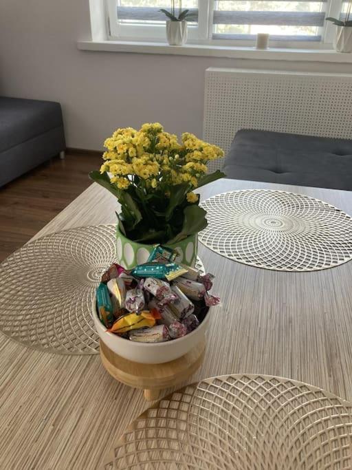 Apartament W Centrum Malborka ภายนอก รูปภาพ